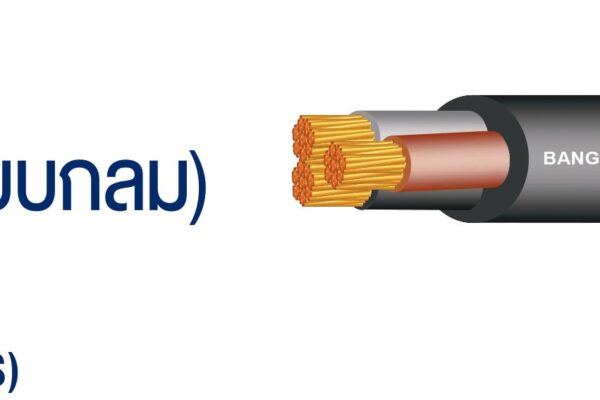 สายIEC53 (แบบกลม)